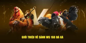 Bí Quyết Thắng Lớn Đá Gà WS168 Tại BuBet Cho Cược Thủ