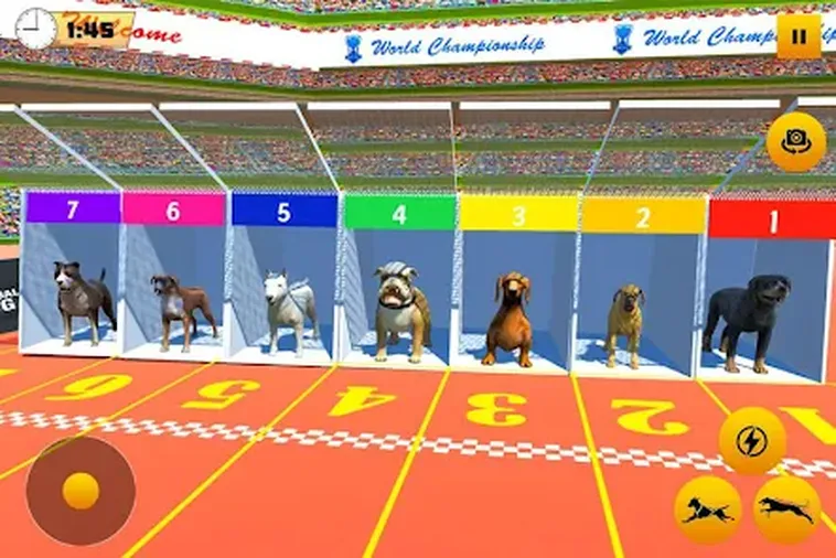 Bí Kíp Chinh Phục Game Nhanh Đua Chó Tại BuBet Cho Dân Cược Đỉnh Cao