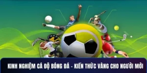 Bậc Thầy Cá Cược Bóng Đá BuBet Tăng Tỷ Lệ Thắng Đỉnh Cao