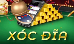 Bí Kíp Thắng Lớn Xóc Đĩa Tại BuBet Từ Các Bậc Thầy Cá Cược